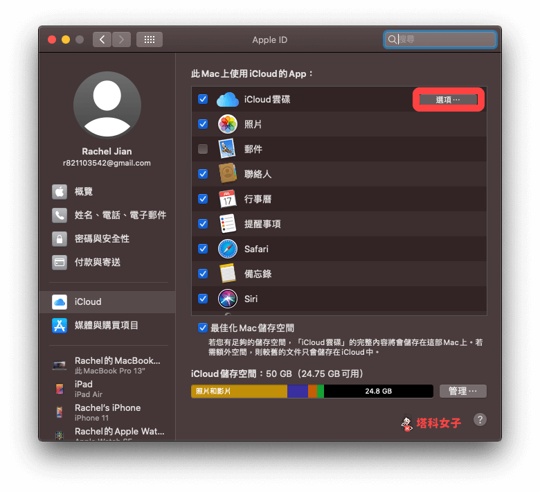 设定 mac 上的 icloud：icloud 云碟 > 选项