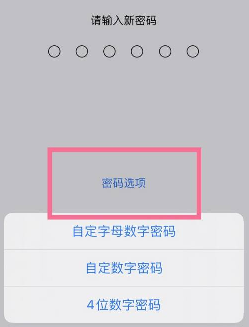 apple iphone 14plus可以设置手势密码吗？如何设置？